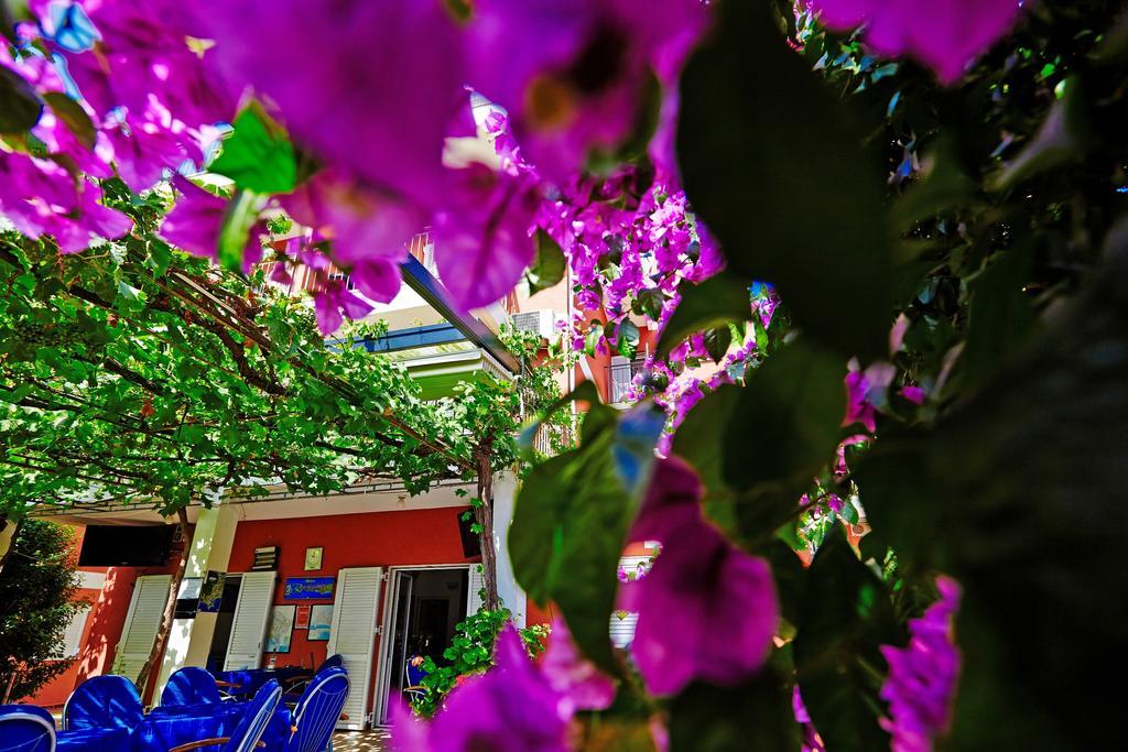Villa Bojana Budva Extérieur photo