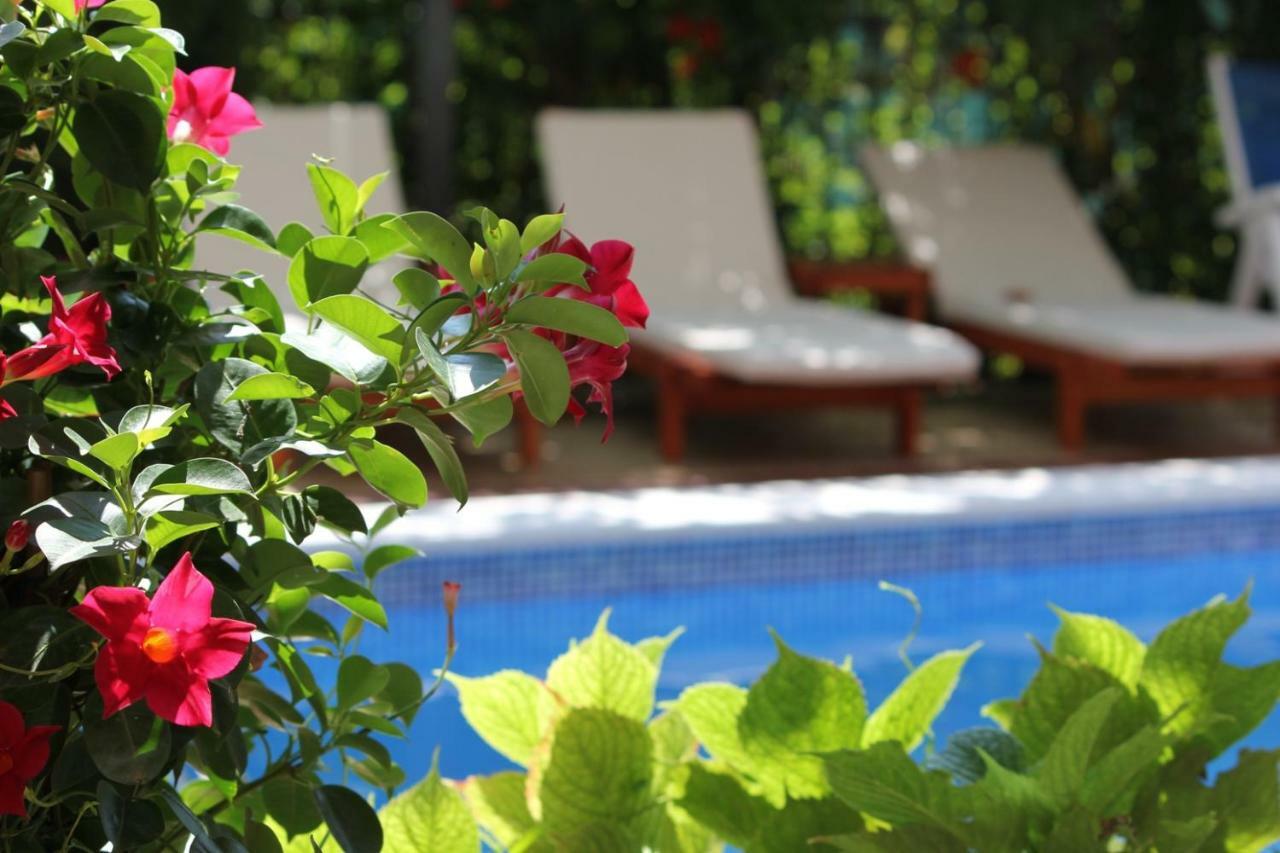 Villa Bojana Budva Extérieur photo